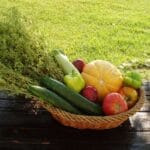 Holidays in Paliouri