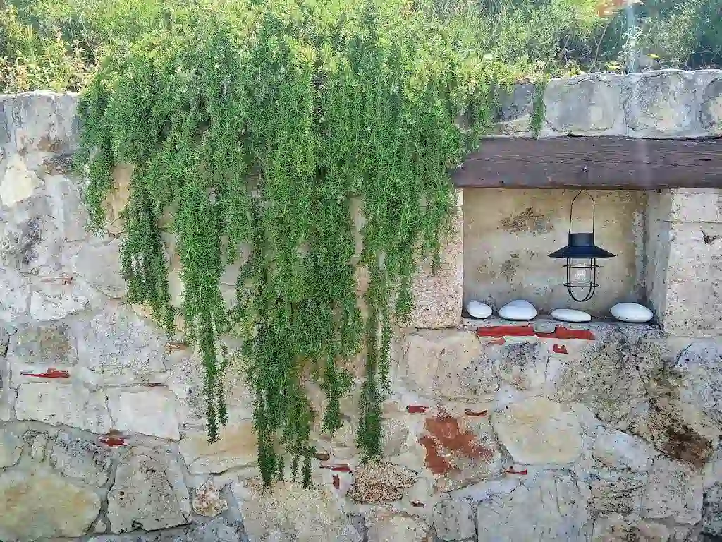 entrance-ktima-verde