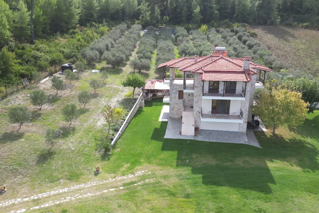 Ktima Verde olive grove in Paliouri Halkidiki