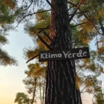 Ktima Verde road sign on a tree pointing to the accommodation in Paliouri Chalkidiki