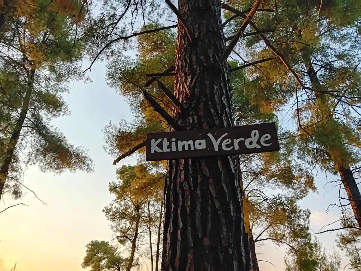 Ktima Verde road sign on a tree pointing to the accommodation in Paliouri Chalkidiki